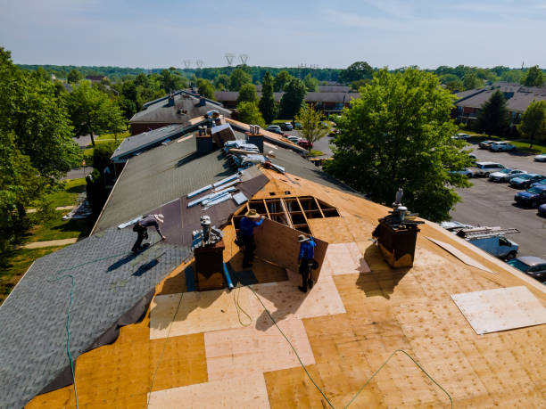 Best Flat Roof Repair Services  in Dunlap, IA