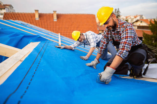 Best Storm Damage Roof Repair  in Dunlap, IA