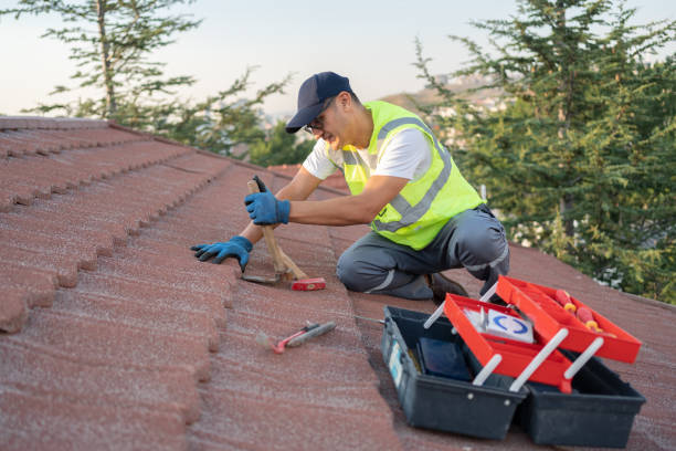 Best Metal Roofing Contractor  in Dunlap, IA
