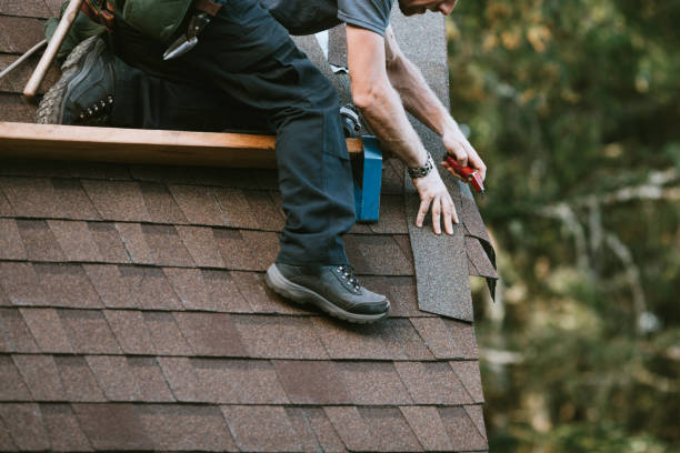 Best Roof Gutter Cleaning  in Dunlap, IA