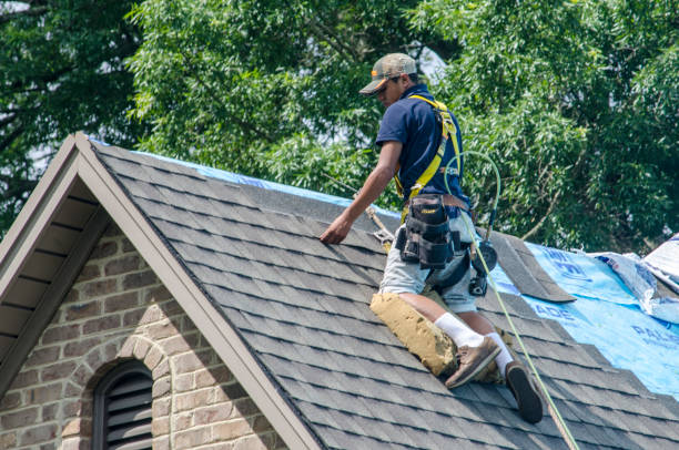 Best Roof Waterproofing Services  in Dunlap, IA